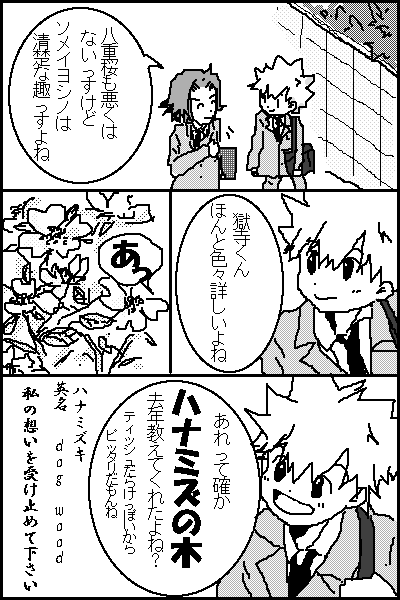 犬の木って・・